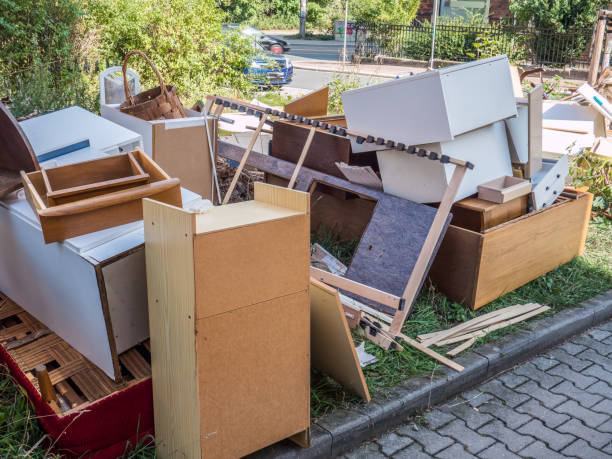 Best Hoarding Cleanup  in Niles, MI